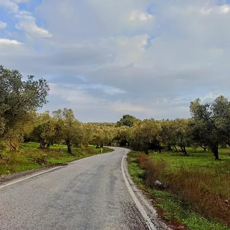 Сasa de vacaciones Mutlu Koey'de Sakinligin Adresi Ayvalı