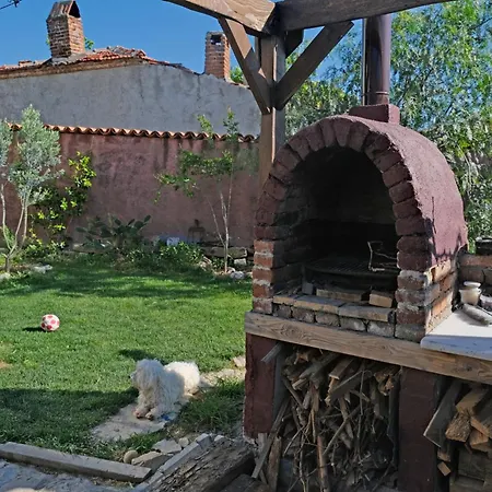Mutlu Koey'de Sakinligin Adresi *